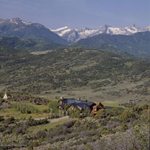 The Estin Report Aspen Snowmass Real Estate Weekly Sales and Statistics, Closed (2) and Under Contract (6): Jan. 30 – Feb. 6, 11 Image